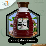 Karanj Honey