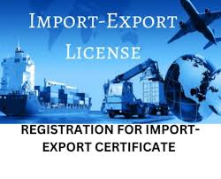 Import & Export License