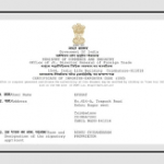 Import & Export License