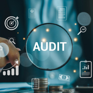 Audit