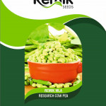 REMIK AGRI SEEDS PVT LTD