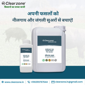 Clear Zone JENIKA ENTERPRISE PRIVATE LIMITED