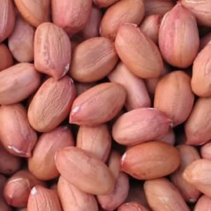 Groundnuts seed/kernels