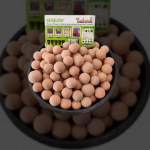 Flower Pots, Wall & Garden Planters