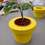 Flower Pots, Wall & Garden Planters