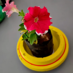 Flower Pots, Wall & Garden Planters