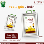 Social Media Marketing & Motion Graphics & Animation