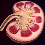 Social Media Marketing & Motion Graphics & Animation