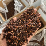 Jeera , Fennel , Fennel , Fennel seeds