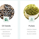 Agriculture ( seeds)