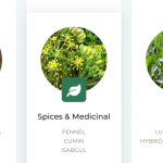 Agriculture ( seeds)