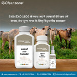 Clear Zone JENIKA ENTERPRISE PRIVATE LIMITED