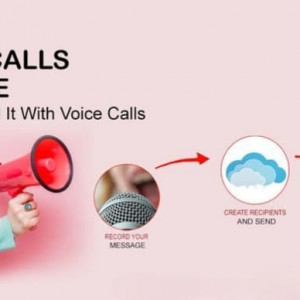 Bulk Voice Call Services
