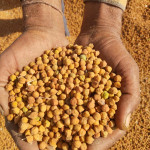 agriculture product's