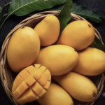 organic mango farming