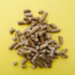 Environment friendly & pollution free biocoal