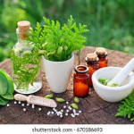 Homeopathy Services