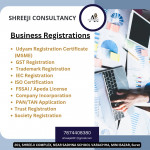 CONSULTANCY SERVICES