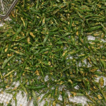 Dehydreted vegetable