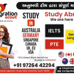 IELTS, PTE, GERMAN