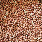 PEANUTS/GROUNDNUTS