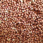 PEANUTS/GROUNDNUTS