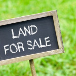 Real Estate consultants