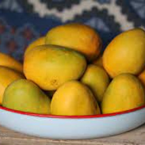 Alphonso Mango