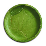 Disposable Plate - 12inch