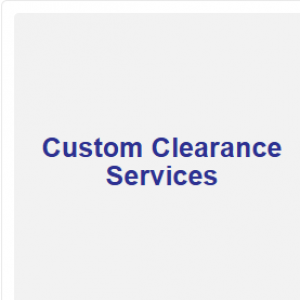 Service Provider of air freight services, custom clearance services & other services