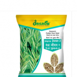 Manufacturer of oil seeds, fresh fruits & wheat seeds