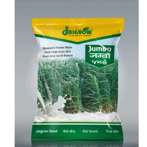 Manufacturer of oil seeds, fresh fruits & wheat seeds