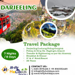 Tours & Travels
