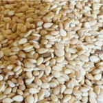 Agriculture products