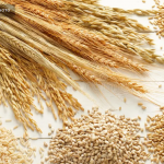 Agriculture products