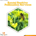 Honey & Bee Products Manufacturers