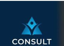 CONSULTANCY SERVICES