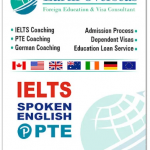 Educational consultant