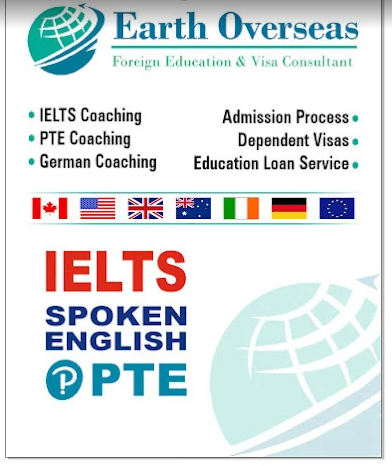 Educational consultant