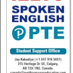 Educational consultant