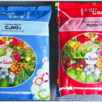 Agriculture products, Pesticides, insecticide, Fungicide products and pest control services provide.