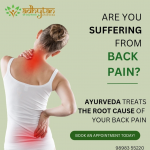 Ayurveda And Panchkarma center