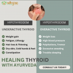 Ayurveda And Panchkarma center