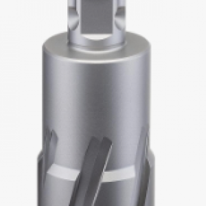 Wholesaler of Carbide Tipped Tools, Tungsten Carbide Tools and Carbide Tips.