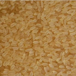 ''Wholesaler'' of a wide range of Wheat seeds, Yellow Corn Maize, Basmati Rice, etc