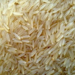 ''Wholesaler'' of a wide range of Wheat seeds, Yellow Corn Maize, Basmati Rice, etc