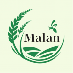 100 % natural fruits & Veggie Powder