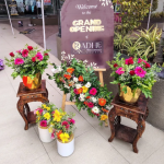 Event management company