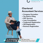Charted Accountant