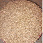 Manufacturer and Processor of cumin seeds.
